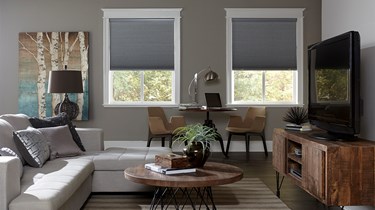 Blinds.ca: Blackout Cellular Shades